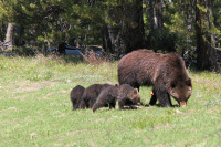 Storm Chasing USA 2011 - Yellowstone