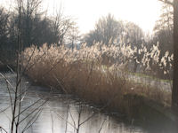 Winter in Nederland